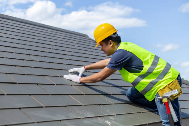 Best Shingle Roofing Installation  in Carrizo Springs, TX