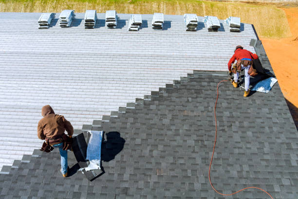 Best Storm Damage Roof Repair  in Carrizo Springs, TX