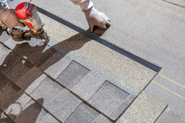 Best Shingle Roofing Installation  in Carrizo Springs, TX